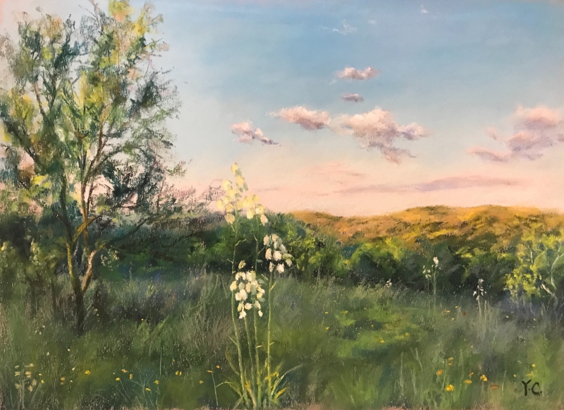 Sunset at Senna Hills by artist Yingying Chen